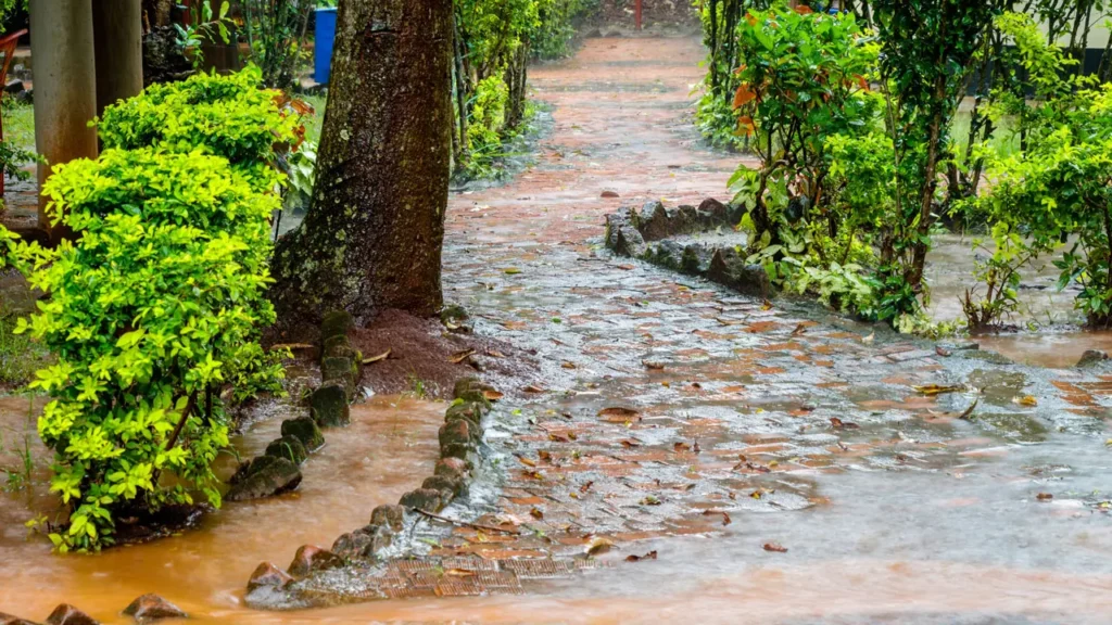 "AI in Climate Change 2026: Powerful Strategies for Disaster Management in Pakistan" AI in climate change Pakistan flood prediction using machine learning models and satellite imagery